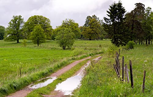 Puzzles für Erwachsene, 2000 Teile, Lernspiele, Naturlandschaft, Straße, Feld, Zaun, 70 x 100 cm Puzzles für Erwachsene, 2000 Teile, Lernspiele, Naturlandschaft, Straße, Feld, Zaun, 70 x 100 cm von EZMLFA