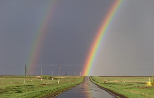 Puzzles für Erwachsene, 2000 Teile, Lernspiele, Naturlandschaft, Straße, Regenbogen, 70 x 100 cm Puzzles für Erwachsene, 2000 Teile, Lernspiele, Naturlandschaft, Straße, Regenbogen, 70 x 100 cm von EZMLFA