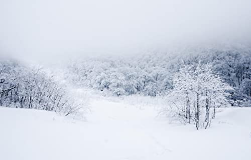 Puzzles für Erwachsene, 2000 Teile, Lernspiele, Naturlandschaft, Wald, Schnee, 70 x 100 cm von EZMLFA