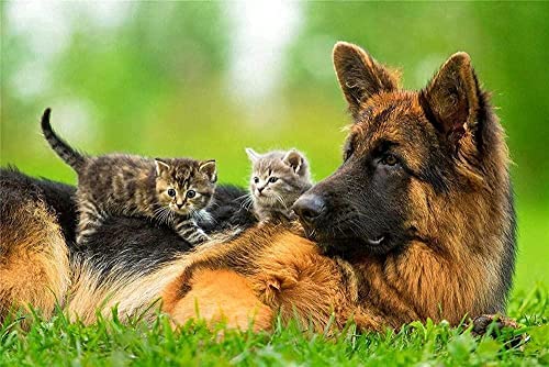 Puzzles für Erwachsene, 2000 Teile, Wolfshund und Kätzchen, Erwachsenen-Puzzle, Lernspiel – Herausfordernde Familienpuzzles für Spaß 70x100CM von EZMLFA