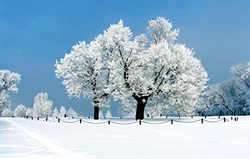 Puzzles für Erwachsene, 2000 Teile, anspruchsvolles Spiel für das Ganze, für Frauen, Geschenke für Männer, Frost, Zaun, Strecke, 70 x 100 cm Puzzles für Erwachsene, 2000 Teile, anspruchsvolles Spiel für das Ganze, für Frauen, Geschenke für Männer, Frost, Zaun, Strecke, 70 x 100 cm von EZMLFA