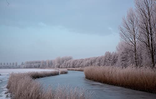 Puzzles für Erwachsene, 2000 Teile, anspruchsvolles Spiel für das Ganze, für Frauen, Geschenke für Männer, Naturlandschaft, Fluss, 70 x 100 cm Puzzles für Erwachsene, 2000 Teile, anspruchsvolles Spiel für das Ganze, für Frauen, Geschenke für Männer, Naturlandschaft, Fluss, 70 x 100 cm von EZMLFA