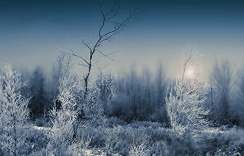 Puzzles für Erwachsene, 2000 Teile, anspruchsvolles Spiel für das Ganze, für Frauen, Geschenke für Männer, Naturlandschaft, Frost, Wald, Nacht, 70 x 100 cm Puzzles für Erwachsene, 2000 Teile, anspruchsvolles Spiel für das Ganze, für Frauen, Geschenke für Männer, Naturlandschaft, Frost, Wald, Nacht, 70 x 100 cm von EZMLFA