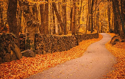 Puzzles für Erwachsene, 2000 Teile, anspruchsvolles Spiel für das Ganze, für Frauen, Geschenke für Männer, Naturlandschaft, Straße, 70 x 100 cm Puzzles für Erwachsene, 2000 Teile, anspruchsvolles Spiel für das Ganze, für Frauen, Geschenke für Männer, Naturlandschaft, Straße, 70 x 100 cm von EZMLFA