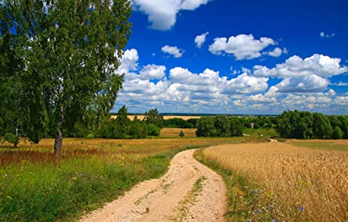 Puzzles für Erwachsene, 2000 Teile, anspruchsvolles Spiel für das Ganze, für Frauen, Geschenke für Männer, Naturlandschaft, Straße, Feld, 70 x 100 cm Puzzles für Erwachsene, 2000 Teile, anspruchsvolles Spiel für das Ganze, für Frauen, Geschenke für Männer, Naturlandschaft, Straße, Feld, 70 x 100 cm von EZMLFA