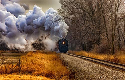Puzzles für Erwachsene, 2000 Teile, anspruchsvolles Spiel für das Ganze, für Frauen, Geschenke für Männer, Naturlandschaft, Straße, Lokomotive, Michigan, 70 x 100 cm Puzzles für Erwachsene, 2000 Teile, anspruchsvolles Spiel für das Ganze, für Frauen, Geschenke für Männer, Naturlandschaft, Straße, Lokomotive, Michigan, 70 x 100 cm von EZMLFA