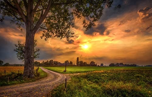 Puzzles für Erwachsene, 2000 Teile, anspruchsvolles Spiel für das Ganze, für Frauen, Geschenke für Männer, Naturlandschaft, Straße, Sonnenuntergang, 70 x 100 cm Puzzles für Erwachsene, 2000 Teile, anspruchsvolles Spiel für das Ganze, für Frauen, Geschenke für Männer, Naturlandschaft, Straße, Sonnenuntergang, 70 x 100 cm von EZMLFA