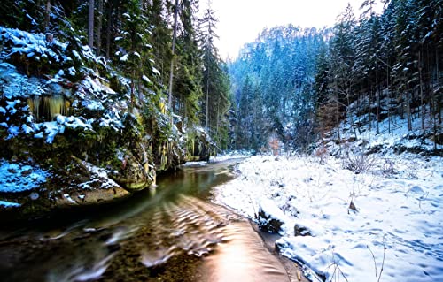 Puzzles für Erwachsene, 2000 Teile, anspruchsvolles Spiel für das Ganze, für Frauen, Geschenke für Männer, Naturlandschaft, Wald, Fluss, 70 x 100 cm Puzzles für Erwachsene, 2000 Teile, anspruchsvolles Spiel für das Ganze, für Frauen, Geschenke für Männer, Naturlandschaft, Wald, Fluss, 70 x 100 cm von EZMLFA