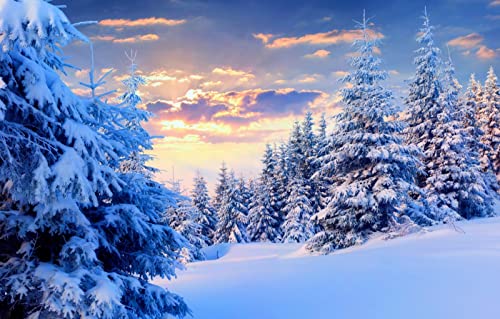 Puzzles für Erwachsene, 2000 Teile, anspruchsvolles Spiel für die ganze Familie, für Frauen, Geschenke für Männer, Naturlandschaft, 70 x 100 cm Puzzles für Erwachsene, 2000 Teile, anspruchsvolles Spiel für die ganze Familie, für Frauen, Geschenke für Männer, Naturlandschaft, 70 x 100 cm von EZMLFA