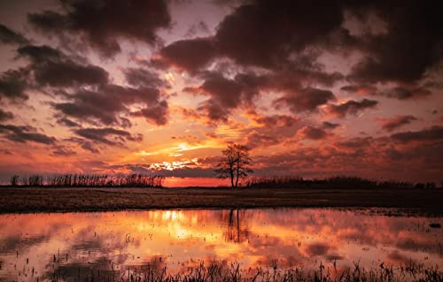 Puzzles für Erwachsene, 2000 Teile, anspruchsvolles Spiel für die ganze Familie, für Frauen, Geschenke für Männer, Naturlandschaft, Sonnenuntergang, Fluss, 70 x 100 cm Puzzles für Erwachsene, 2000 Teile, anspruchsvolles Spiel für die ganze Familie, für Frauen, Geschenke für Männer, Naturlandschaft, Sonnenuntergang, Fluss, 70 x 100 cm von EZMLFA