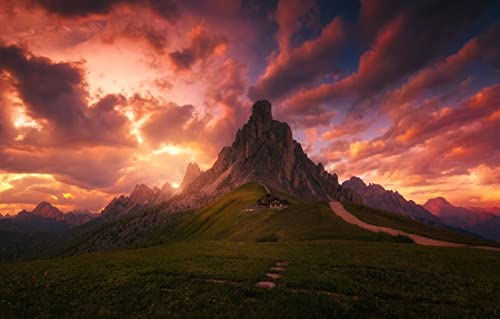 Puzzles für Erwachsene, 2000 Teile, anspruchsvolles Spiel für die ganze Familie, für Frauen, Geschenke für Männer, Naturlandschaft, Straße, Alpen, 70 x 100 cm Puzzles für Erwachsene, 2000 Teile, anspruchsvolles Spiel für die ganze Familie, für Frauen, Geschenke für Männer, Naturlandschaft, Straße, Alpen, 70 x 100 cm von EZMLFA