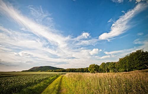 Puzzles für Erwachsene, 2000 Teile, anspruchsvolles Spiel für die ganze Familie, für Frauen, Geschenke für Männer, Naturlandschaft, Straße, Wolken, 70 x 100 cm Puzzles für Erwachsene, 2000 Teile, anspruchsvolles Spiel für die ganze Familie, für Frauen, Geschenke für Männer, Naturlandschaft, Straße, Wolken, 70 x 100 cm von EZMLFA