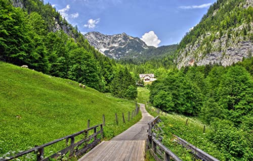 Puzzles für Erwachsene, 2000 Teile, anspruchsvolles Spiel für die ganze Familie, für Frauen, Geschenke für Männer, Straße, Berg, Brücke, Alpen, 70 x 100 cm von EZMLFA