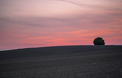 Puzzles für Erwachsene, 2000-teiliges Puzzle, anspruchsvolles Spiel für das Ganze, für Frauen, Geschenke für Männer, Naturlandschaft, Sonnenuntergang, Berge, 70 x 100 cm von EZMLFA