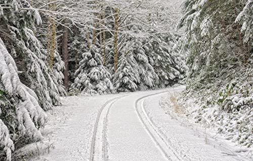 Puzzles für Erwachsene mit 1000 Teilen, unmögliches Puzzle, Lernspiele, Naturlandschaft, Straße, Schnee, 50 x 70 cm Puzzles für Erwachsene mit 1000 Teilen, unmögliches Puzzle, Lernspiele, Naturlandschaft, Straße, Schnee, 50 x 70 cm von EZMLFA