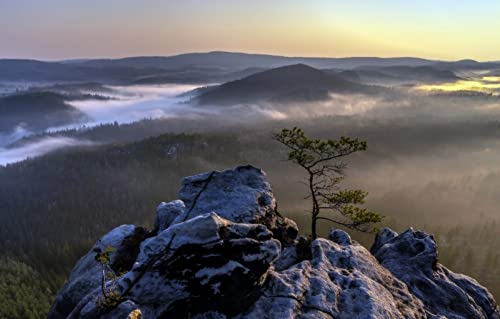 Riesenpuzzle für Erwachsene, 1000 Teile, Naturschönheit, Nebel, 50 x 70 cm von EZMLFA