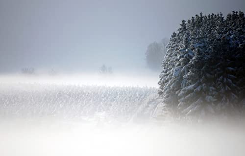 Riesenpuzzle für Erwachsene, 1000 Teile, Naturschönheit, Schnee, Nebel, 50 x 70 cm Riesenpuzzle für Erwachsene, 1000 Teile, Naturschönheit, Schnee, Nebel, 50 x 70 cm von EZMLFA