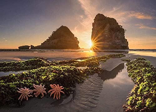 Schöne Dekoration, 2000 Teile Puzzle aus – Steingarten und Seegras im Wasser im Sonnenuntergang – Spielzeug für Erwachsene und Kinder 70x100CM von EZMLFA