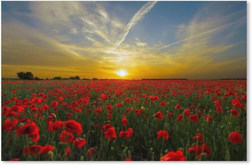 Sonnenuntergang, Mohnblumen, Puzzle 1000 Teile für Erwachsene, klassisches Puzzle, Kinderpuzzle, anspruchsvolle und schwierige Puzzles für Erwachsene und Jugendliche, 50 x 70 cm von EZMLFA