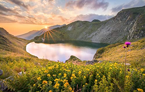 Spiele für Kinder 3D-Puzzle 2000 Teile, Naturschönheit, Sonne, Blumen, See, Bulgarien 70x100CM von EZMLFA