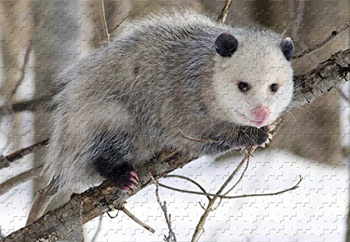 Tier-Opossum, 2000-teiliges Puzzle, 70 x 100 cm von EZMLFA