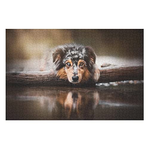 Tier-Puzzle-Set für Erwachsene, 1000 Teile, Hundemuster-Puzzles, für Erwachsene und Jugendliche, ideal zum Entspannen, Meditieren, Hobby, Gehirn-Herausforderung, Puzzle, 26 x 38 cm Tier-Puzzle-Set für Erwachsene, 1000 Teile, Hundemuster-Puzzles, für Erwachsene und Jugendliche, ideal zum Entspannen, Meditieren, Hobby, Gehirn-Herausforderung, Puzzle, 26 x 38 cm von EZMLFA