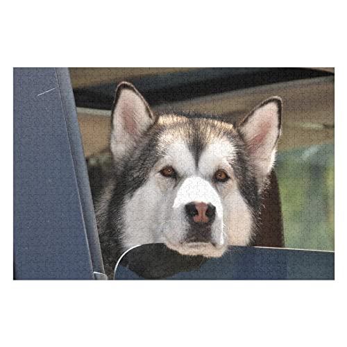Tier-Puzzle-Set für Erwachsene, 1000 Teile, Hundemuster-Puzzles, für Erwachsene und Kinder ab 12 Jahren, ideal zum Entspannen, Meditieren, Hobby, Gehirntraining, Puzzle, 50 x 70 cm von EZMLFA