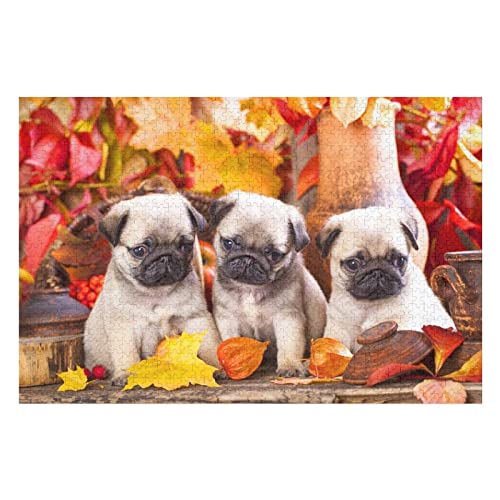 Tier-Puzzle-Set für Erwachsene, 1000 Teile, Hundemuster-Puzzles, für Erwachsene und Kinder ab 12 Jahren, ideal zum Entspannen, Meditieren, Hobby, Spaß, Puzzles, 50 x 70 cm Tier-Puzzle-Set für Erwachsene, 1000 Teile, Hundemuster-Puzzles, für Erwachsene und Kinder ab 12 Jahren, ideal zum Entspannen, Meditieren, Hobby, Spaß, Puzzles, 50 x 70 cm von EZMLFA