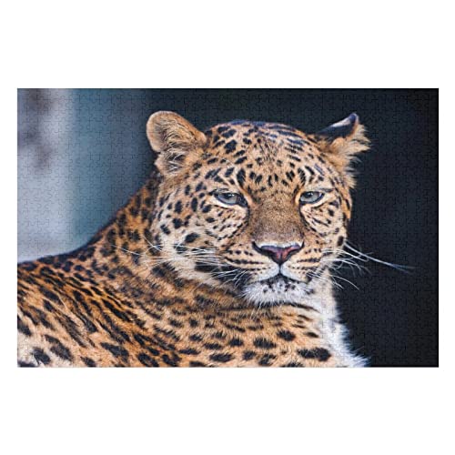 Tier-Puzzle-Set für Erwachsene, 1000 Teile, Leoparden-Grafik-Puzzles, für Erwachsene und Jugendliche, ideal zur Entspannung, Meditation, als Hobby, Premium-Puzzles, 50 x 70 cm von EZMLFA