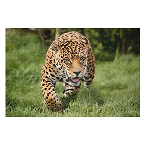 Tier-Puzzle-Set für Erwachsene, 1000 Teile, Leopardenmuster, Puzzles für Kinder, Spiele für Erwachsene, Unterhaltung, Premium-Puzzles, 50 x 70 cm von EZMLFA