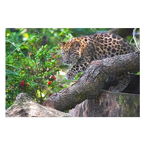 Tier-Puzzle-Set für Erwachsene, 1000 Teile, Leopardenmuster-Puzzles, für Erwachsene und Kinder ab 12 Jahren, zur Heimdekoration, großes Puzzle, 50 x 70 cm Tier-Puzzle-Set für Erwachsene, 1000 Teile, Leopardenmuster-Puzzles, für Erwachsene und Kinder ab 12 Jahren, zur Heimdekoration, großes Puzzle, 50 x 70 cm von EZMLFA