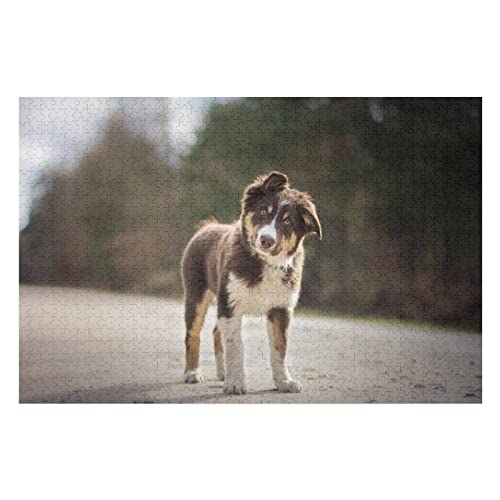 Tier-Puzzle-Set für Erwachsene, 1000-teiliges Hundemuster-Puzzle für Erwachsene und Kinder ab 12 Jahren, Geburtstagsgeschenk für Papa und Mama, lustige Puzzles, 50 x 70 cm von EZMLFA