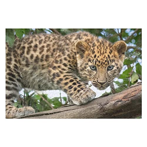 Tier-Puzzle-Set für Erwachsene, 2000 Teile, Leoparden-Grafik-Puzzle, für Kinder und Erwachsene, Familienaktivität, Schwierige Harte Puzzles, 70 x 100 cm von EZMLFA