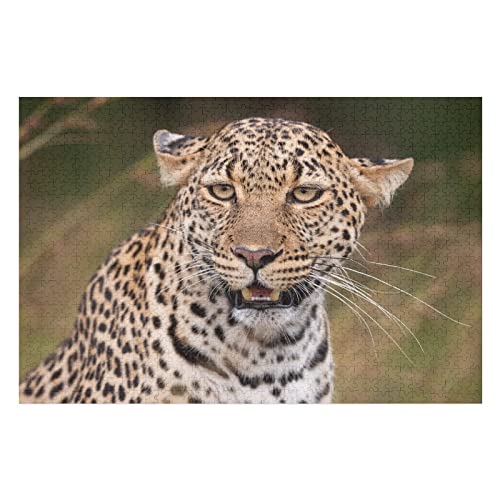 Tier-Puzzle-Set für Erwachsene, 2000 Teile, Leopardenmuster-Puzzles, für Erwachsene und Jugendliche, intellektuelles Puzzle-Spielzeug, Schwierige Harte Puzzles, 70 x 100 cm Tier-Puzzle-Set für Erwachsene, 2000 Teile, Leopardenmuster-Puzzles, für Erwachsene und Jugendliche, intellektuelles Puzzle-Spielzeug, Schwierige Harte Puzzles, 70 x 100 cm von EZMLFA