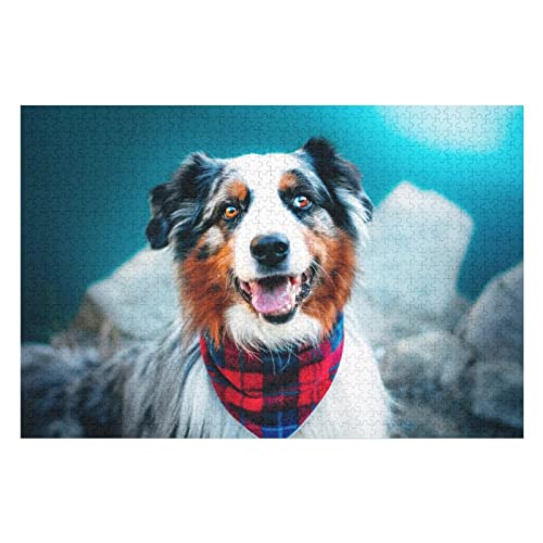 Tier-Puzzle-Sets für Erwachsene, 1000 Teile, Hundemuster, Puzzles für Familienaktivitäten für Erwachsene und Jugendliche, Premium-Puzzles, 50 x 70 cm Tier-Puzzle-Sets für Erwachsene, 1000 Teile, Hundemuster, Puzzles für Familienaktivitäten für Erwachsene und Jugendliche, Premium-Puzzles, 50 x 70 cm von EZMLFA