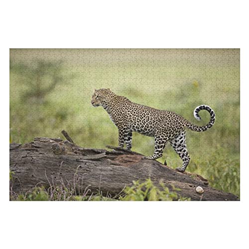 Tier-Puzzle-Sets für Erwachsene, 1000 Teile, Leopardenmuster-Puzzles, für Erwachsene und Jugendliche, intellektuelles Puzzle-Spielzeug, Premium-Puzzles, 50 x 70 cm von EZMLFA
