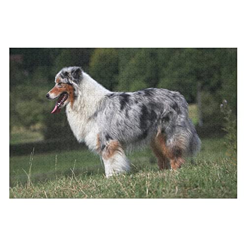 Tier-Puzzle-Sets für Erwachsene, 2000 Teile, Hunde-Grafikpuzzles, für Erwachsene und Kinder ab 12 Jahren, zur Heimdekoration, Premium-Puzzles, 70 x 100 cm Tier-Puzzle-Sets für Erwachsene, 2000 Teile, Hunde-Grafikpuzzles, für Erwachsene und Kinder ab 12 Jahren, zur Heimdekoration, Premium-Puzzles, 70 x 100 cm von EZMLFA