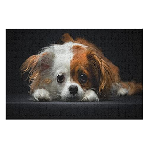 Tier-Puzzle-Sets für Erwachsene, 2000 Teile, Puzzles mit Hundemuster, für Erwachsene und Kinder ab 12 Jahren, Lernspiele, schwierige Puzzles, 70 x 100 cm Tier-Puzzle-Sets für Erwachsene, 2000 Teile, Puzzles mit Hundemuster, für Erwachsene und Kinder ab 12 Jahren, Lernspiele, schwierige Puzzles, 70 x 100 cm von EZMLFA
