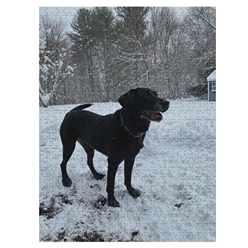 Tierdruck Schwarzer Labrador Kunstpuzzle 1000 Teile Puzzle für Erwachsene Kinder Teenager Personalisierte Fotopuzzles Familienspiele Lernspielzeug Puzzle 50x70CM von EZMLFA