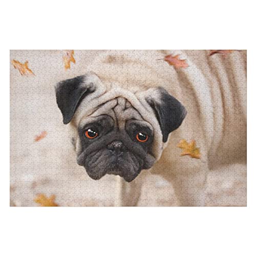 Tierpuzzle-Set für Erwachsene, 1000 Teile, Hunde-Grafikpuzzle, für Kinder und Erwachsene, Spiele, Unterhaltung, großes Puzzle, 50 x 70 cm von EZMLFA