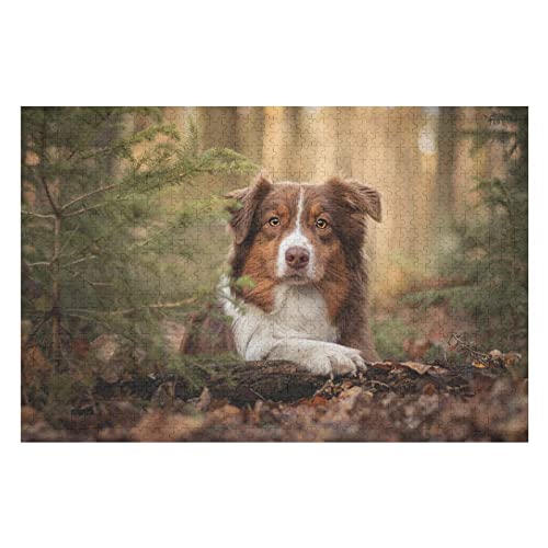Tierpuzzle-Set für Erwachsene, 1000 Teile, Hunde-Grafikpuzzles für Damen und Herren, Spiele, Unterhaltung, lustige Puzzles, 50 x 70 cm von EZMLFA