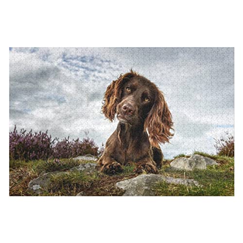 Tierpuzzle-Set für Erwachsene, 2000 Teile, Hundemuster-Puzzle, für Erwachsene, Teenager, Kinder, Familie, anspruchsvolles Denkspiel, 70 x 100 cm von EZMLFA