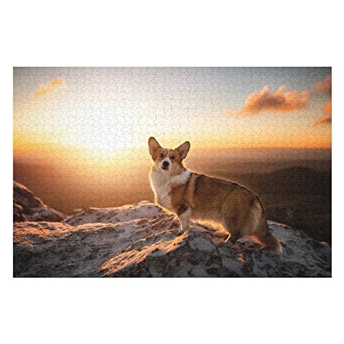 Tierpuzzle-Set für Erwachsene, 2000 Teile, Hundemuster-Puzzles, für Kinder und Erwachsene, intellektuelles Puzzlespielzeug, großes Puzzle, 70 x 100 cm Tierpuzzle-Set für Erwachsene, 2000 Teile, Hundemuster-Puzzles, für Kinder und Erwachsene, intellektuelles Puzzlespielzeug, großes Puzzle, 70 x 100 cm von EZMLFA