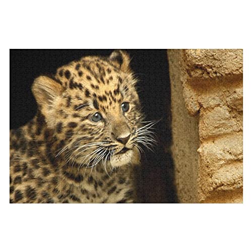 Tierpuzzle-Set für Erwachsene, 2000 Teile, Leopardenmuster, Puzzles für Frauen und Männer, Lernspiele, lustige Puzzles, 70 x 100 cm Tierpuzzle-Set für Erwachsene, 2000 Teile, Leopardenmuster, Puzzles für Frauen und Männer, Lernspiele, lustige Puzzles, 70 x 100 cm von EZMLFA
