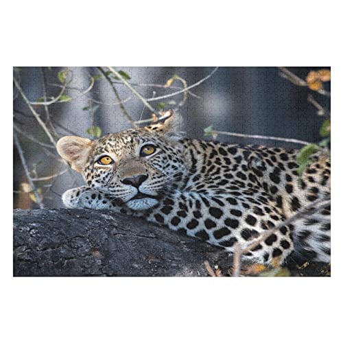Tierpuzzle-Set für Erwachsene, 2000 Teile, Leopardenmuster-Puzzle, für Kinder, Erwachsene und Familien, anspruchsvolle Premium-Puzzles, 70 x 100 cm von EZMLFA