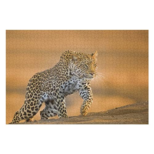 Tierpuzzle-Set für Erwachsene, 2000 Teile, Leopardenmuster-Puzzles, für Erwachsene und Kinder ab 12 Jahren, Puzzle-Geschenke, Brain Challenge Puzzle, 70 x 100 cm Tierpuzzle-Set für Erwachsene, 2000 Teile, Leopardenmuster-Puzzles, für Erwachsene und Kinder ab 12 Jahren, Puzzle-Geschenke, Brain Challenge Puzzle, 70 x 100 cm von EZMLFA