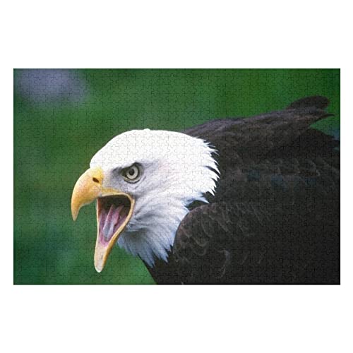 Tierpuzzle-Set für Erwachsene, 2000 Teile, Weißkopfseeadler-Muster, Puzzles für Erwachsene und Kinder ab 12 Jahren, Lernspiele, lustige Puzzles, 70 x 100 cm Tierpuzzle-Set für Erwachsene, 2000 Teile, Weißkopfseeadler-Muster, Puzzles für Erwachsene und Kinder ab 12 Jahren, Lernspiele, lustige Puzzles, 70 x 100 cm von EZMLFA