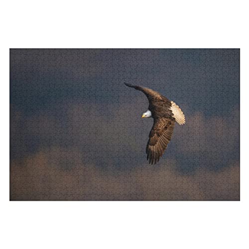 Tierpuzzle-Set für Erwachsene, 2000 Teile, Weißkopfseeadler-Muster, Puzzles für Kinder und Erwachsene, Spiele, Unterhaltung, großes Puzzle, 70 x 100 cm von EZMLFA