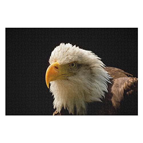 Tierpuzzle-Set für Erwachsene, 2000 Teile, Weißkopfseeadler-Musterpuzzle, für Lernspiele für Erwachsene und Jugendliche, Premium-Puzzles, 70 x 100 cm Tierpuzzle-Set für Erwachsene, 2000 Teile, Weißkopfseeadler-Musterpuzzle, für Lernspiele für Erwachsene und Jugendliche, Premium-Puzzles, 70 x 100 cm von EZMLFA