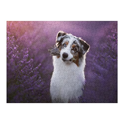 Tierpuzzle-Set für Erwachsene, 500 Teile, Hunde-Grafikpuzzle, für Erwachsene und Kinder ab 12 Jahren, herausfordernde und schwierige Familienpuzzles, 26 x 38 cm Tierpuzzle-Set für Erwachsene, 500 Teile, Hunde-Grafikpuzzle, für Erwachsene und Kinder ab 12 Jahren, herausfordernde und schwierige Familienpuzzles, 26 x 38 cm von EZMLFA